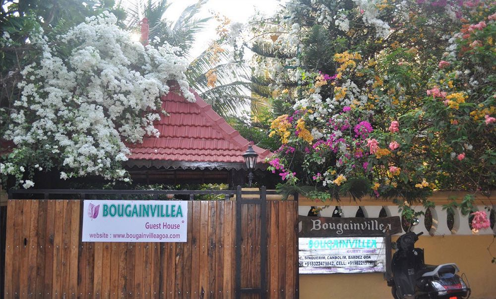 Bougainvillea Guest House Candolim Εξωτερικό φωτογραφία